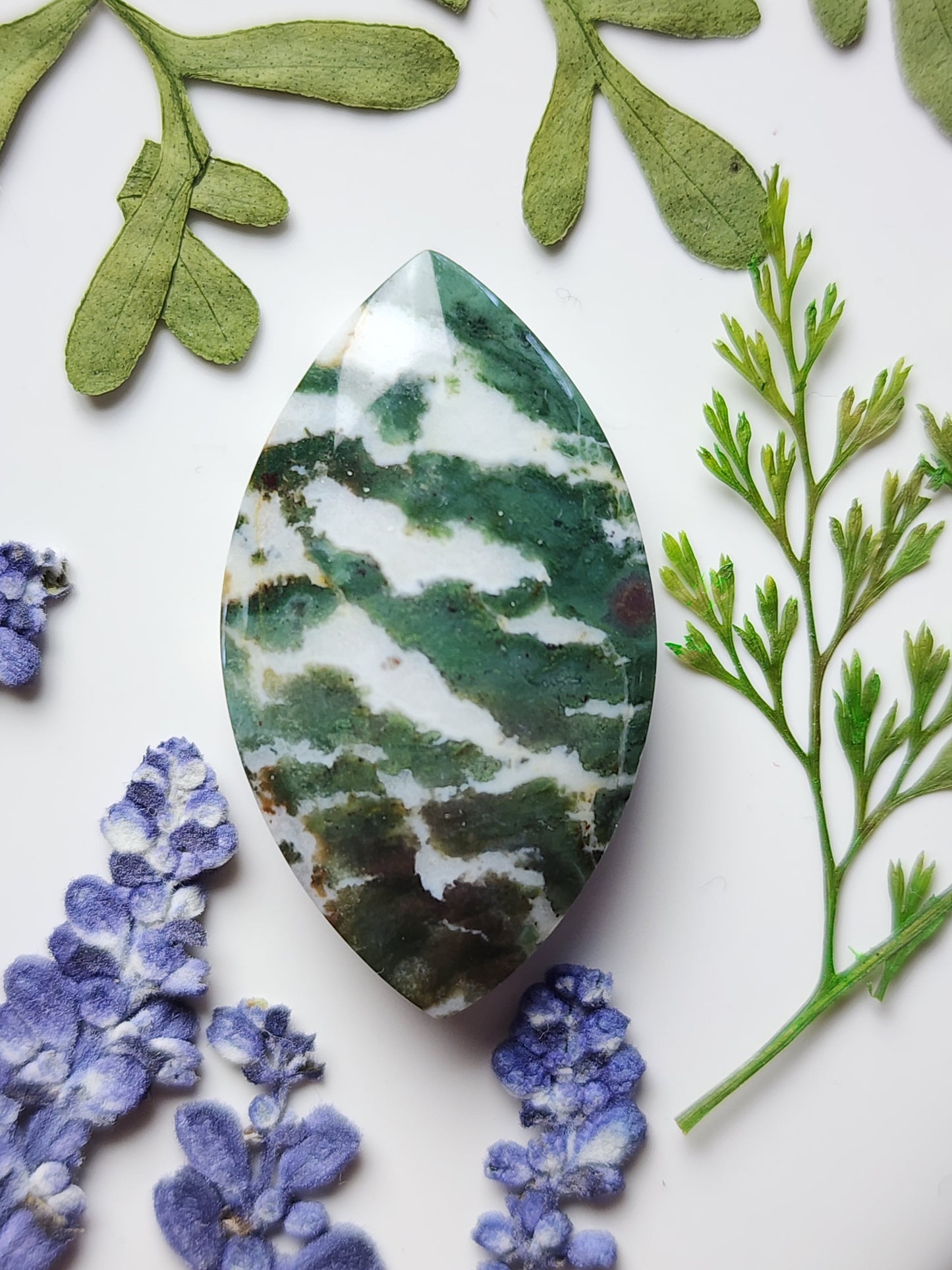 Green Zebra jasper