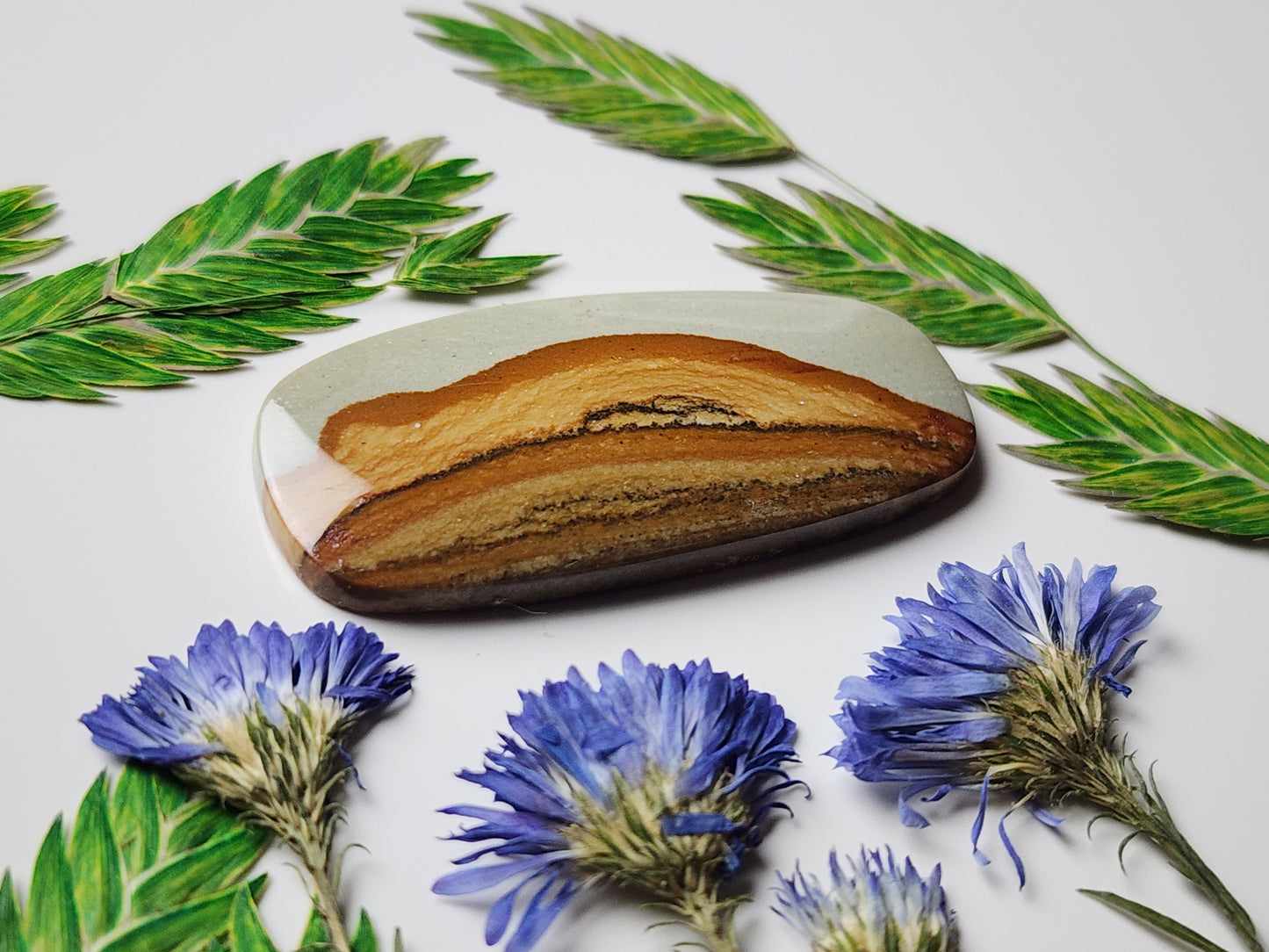 Owyhee picture jasper