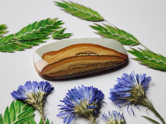 Owyhee picture jasper