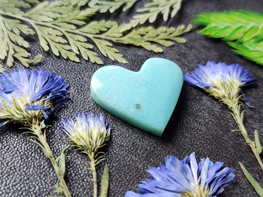 Petrified Blue opalized wood heart