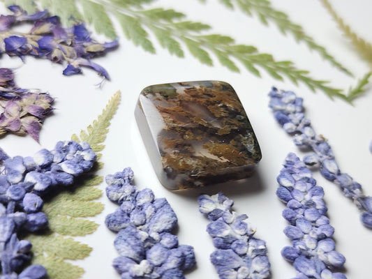 Priday Thunderegg moss agate