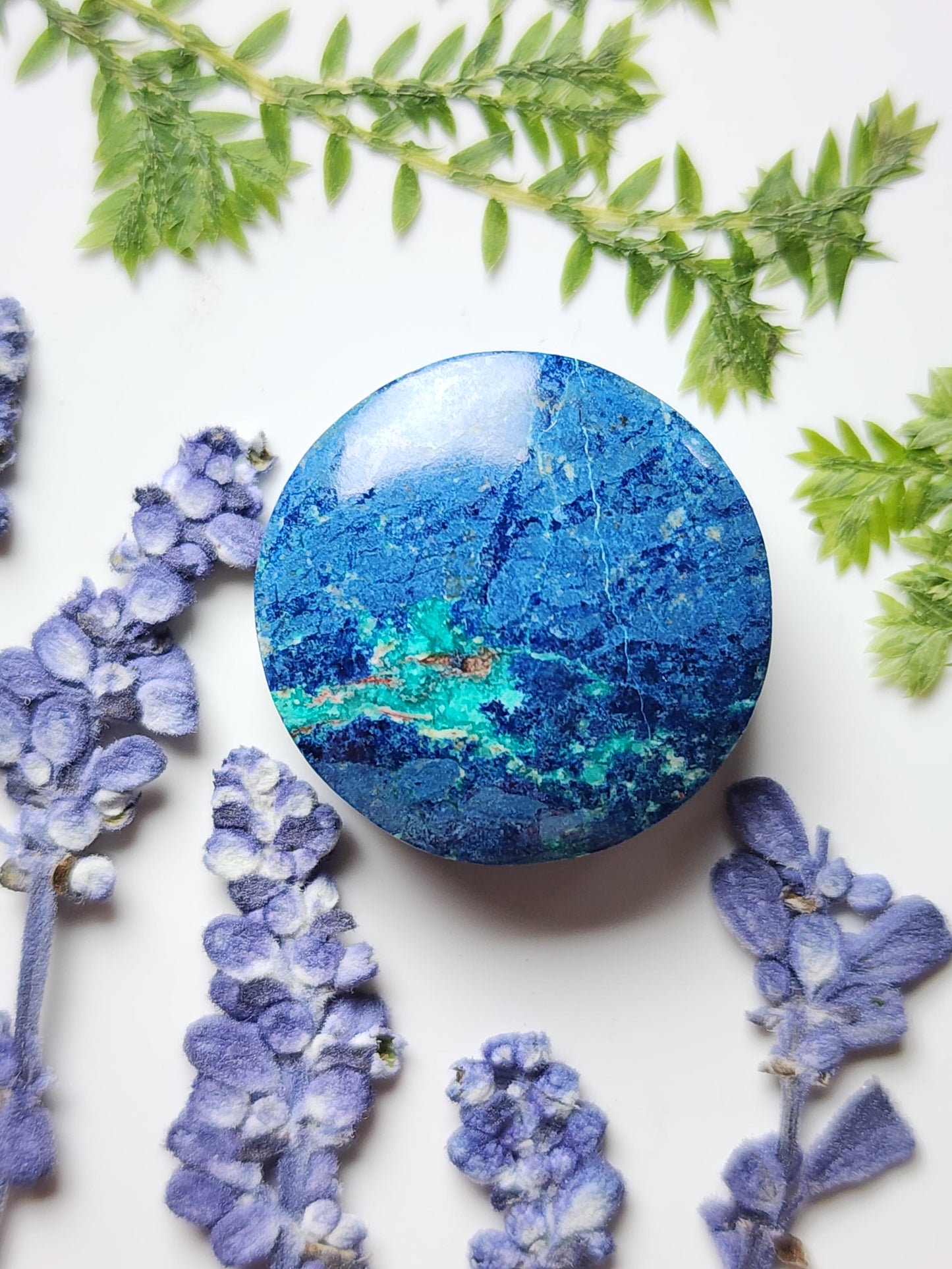 Bluebird Azurite Chrysocolla