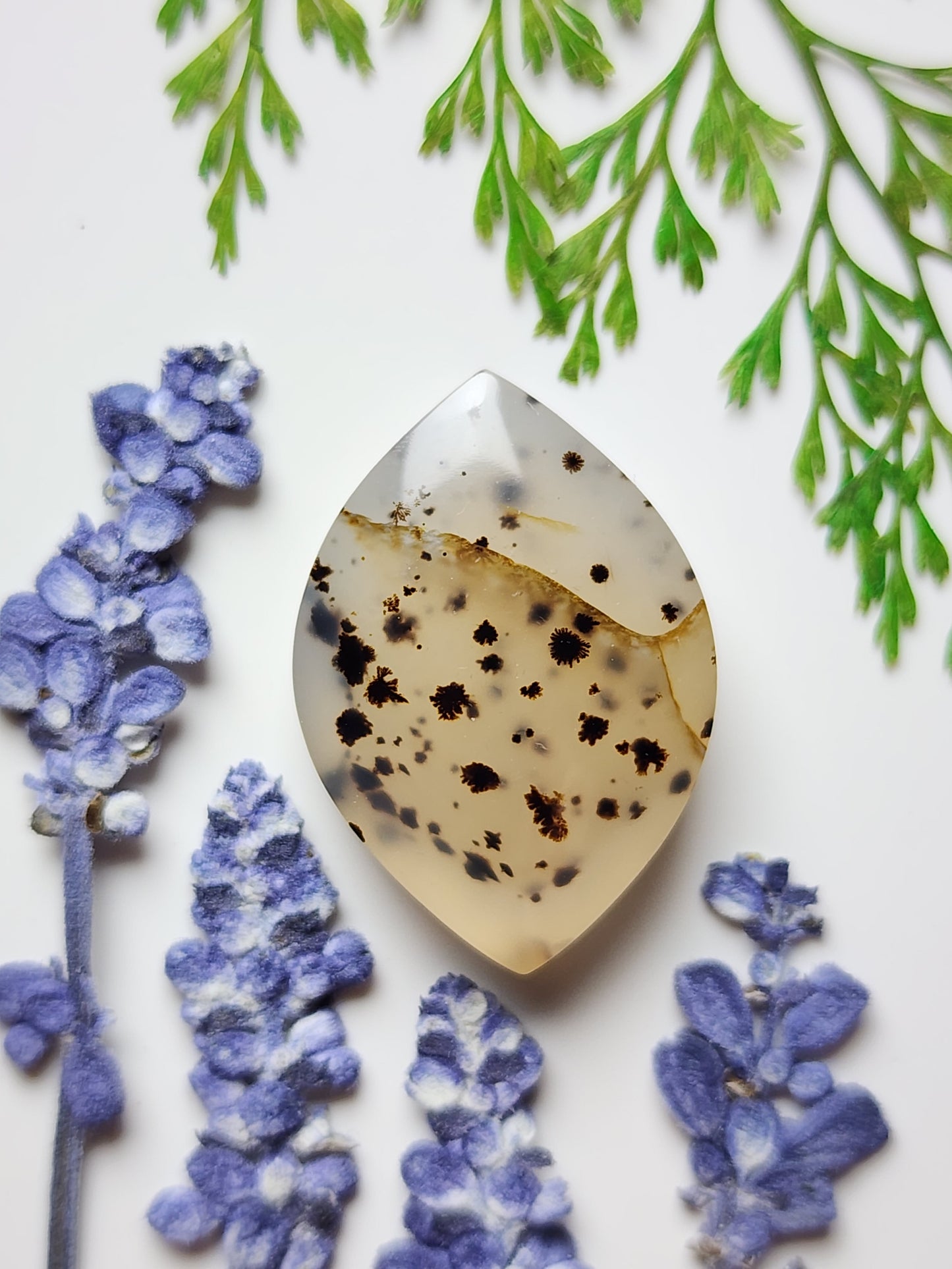 Montana agate