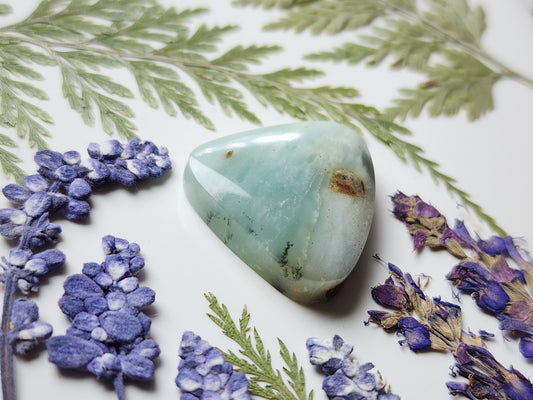 BC Ocean picture stone