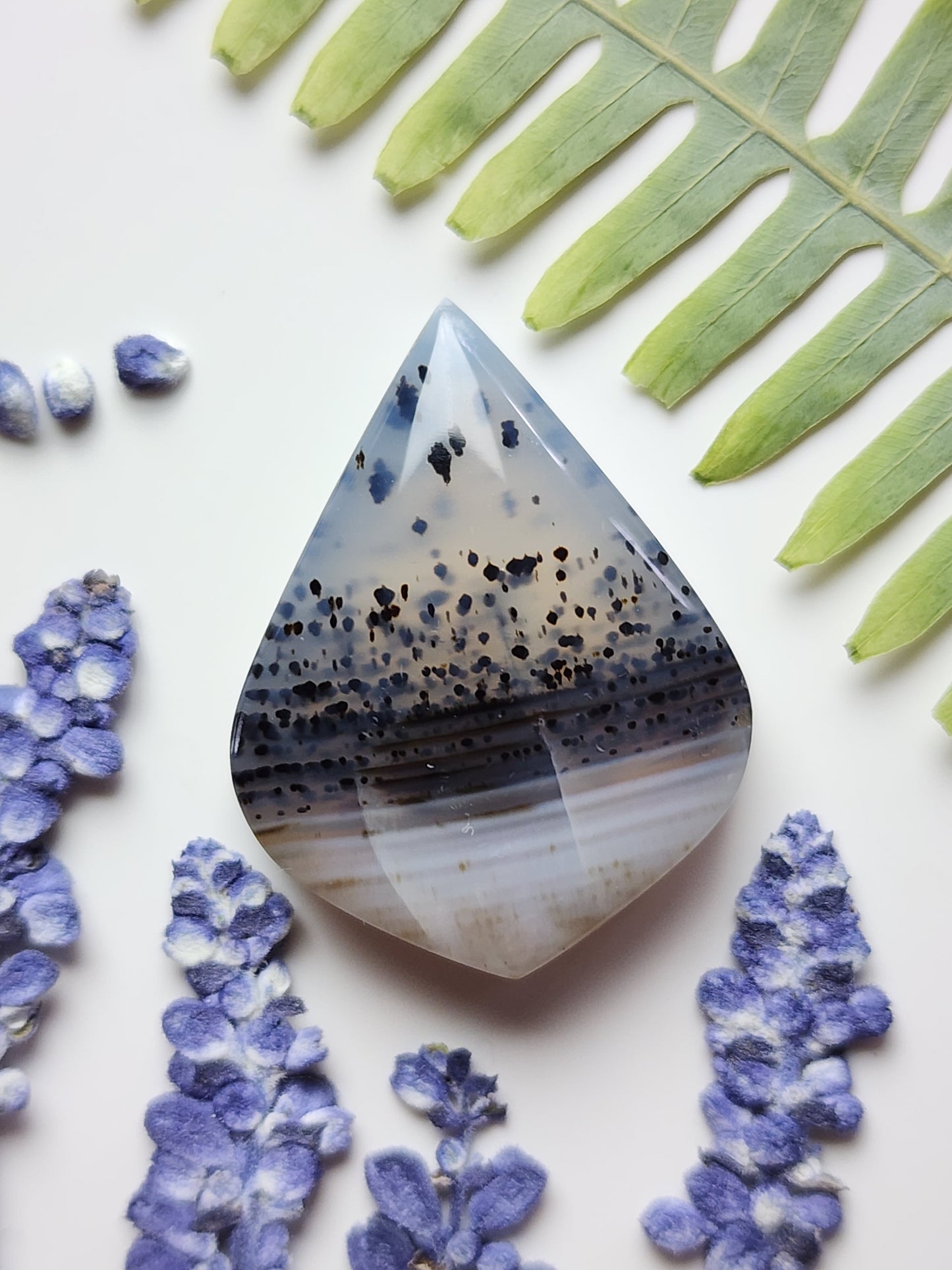 Montana agate