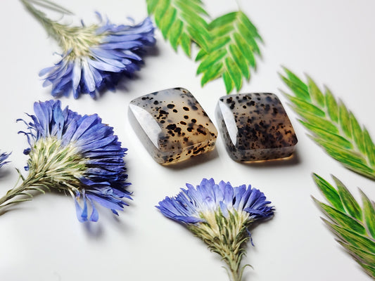 Montana agate pair