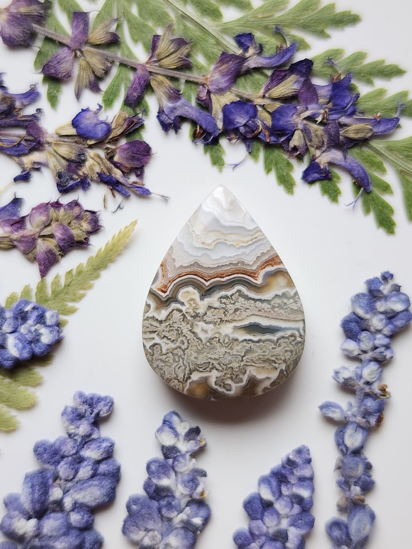 Crazy lace agate