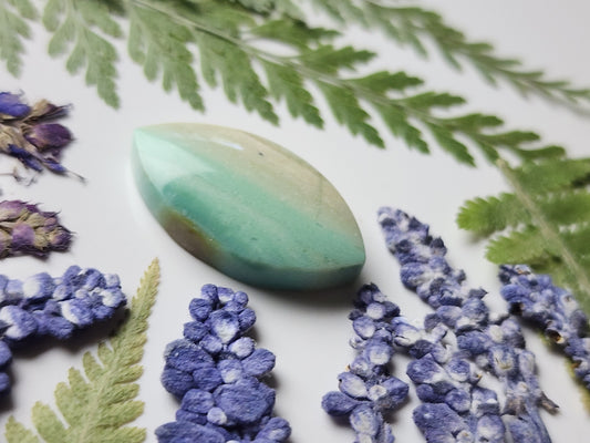 Petrified blue opalized wood