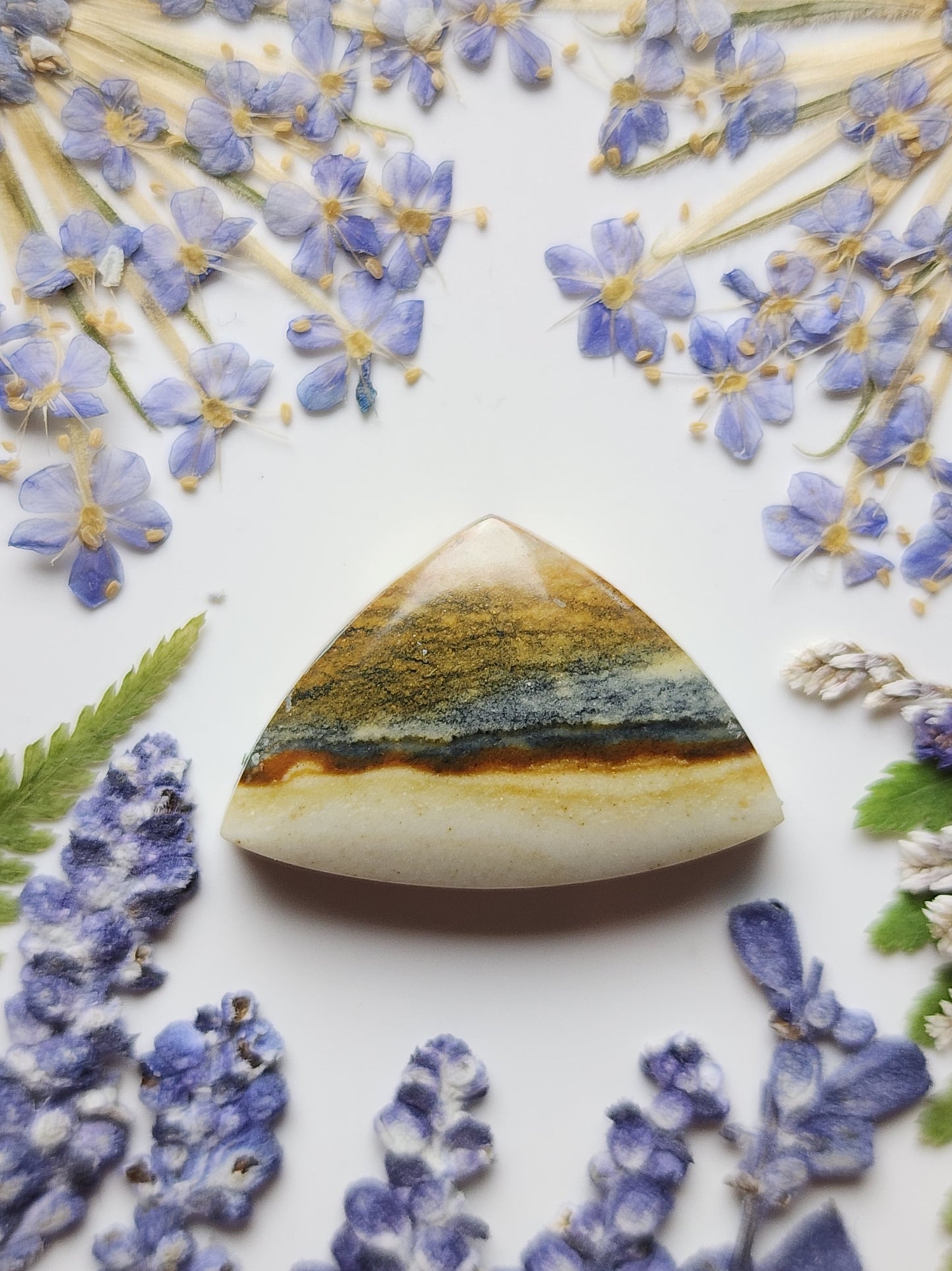 Starry night picture jasper