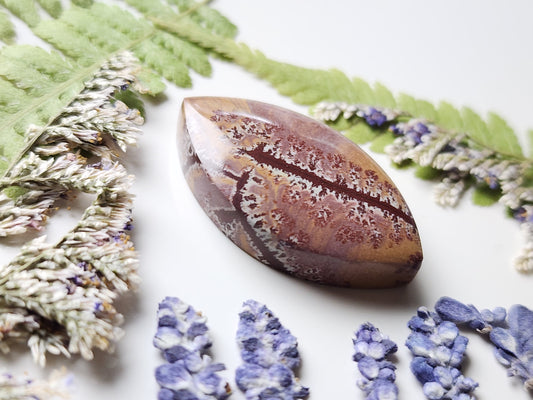 Sonoran Dendritic Rhyolite