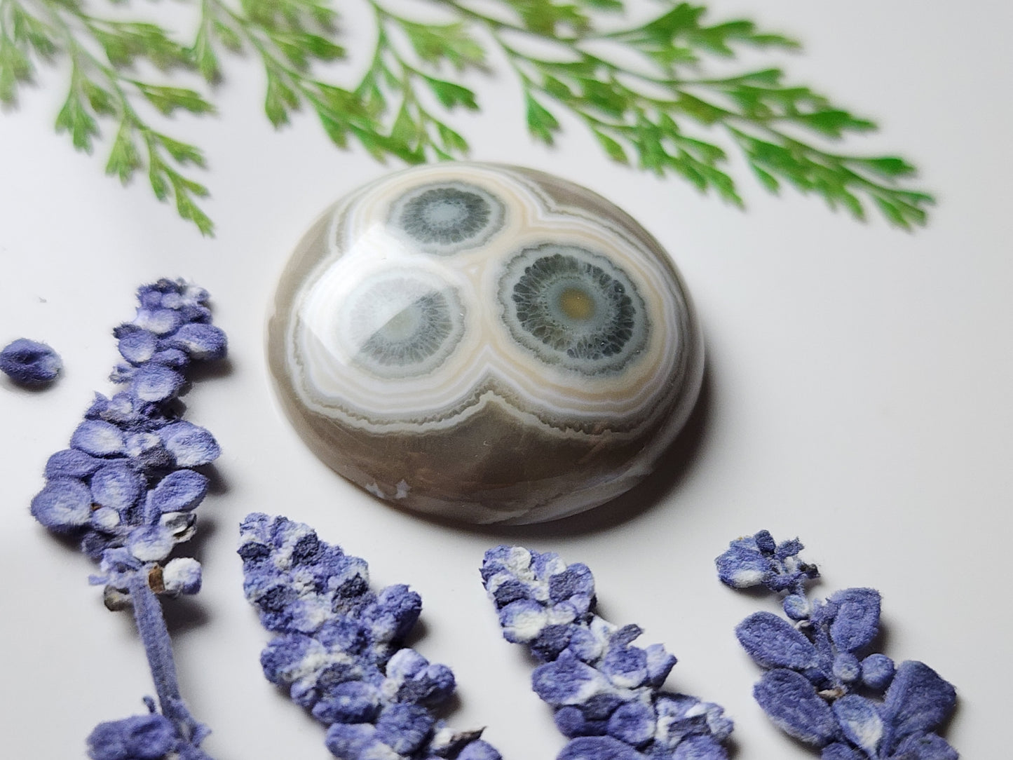 Ocean jasper