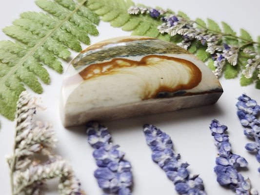 Starry night picture jasper