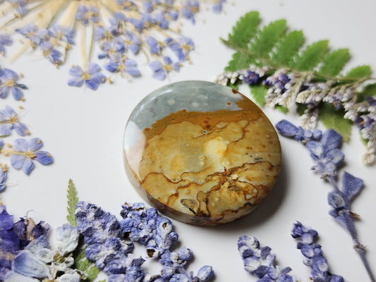 Rocky Butte picture jasper