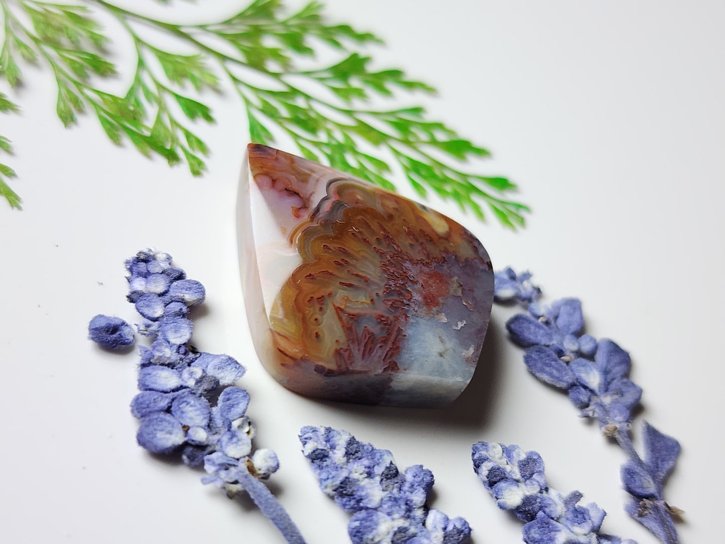 Crazy lace agate