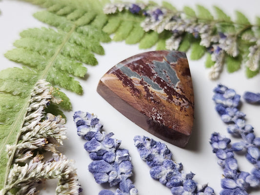 Sonoran Dendritic rhyolite