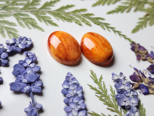 Spiny shell oyster pair