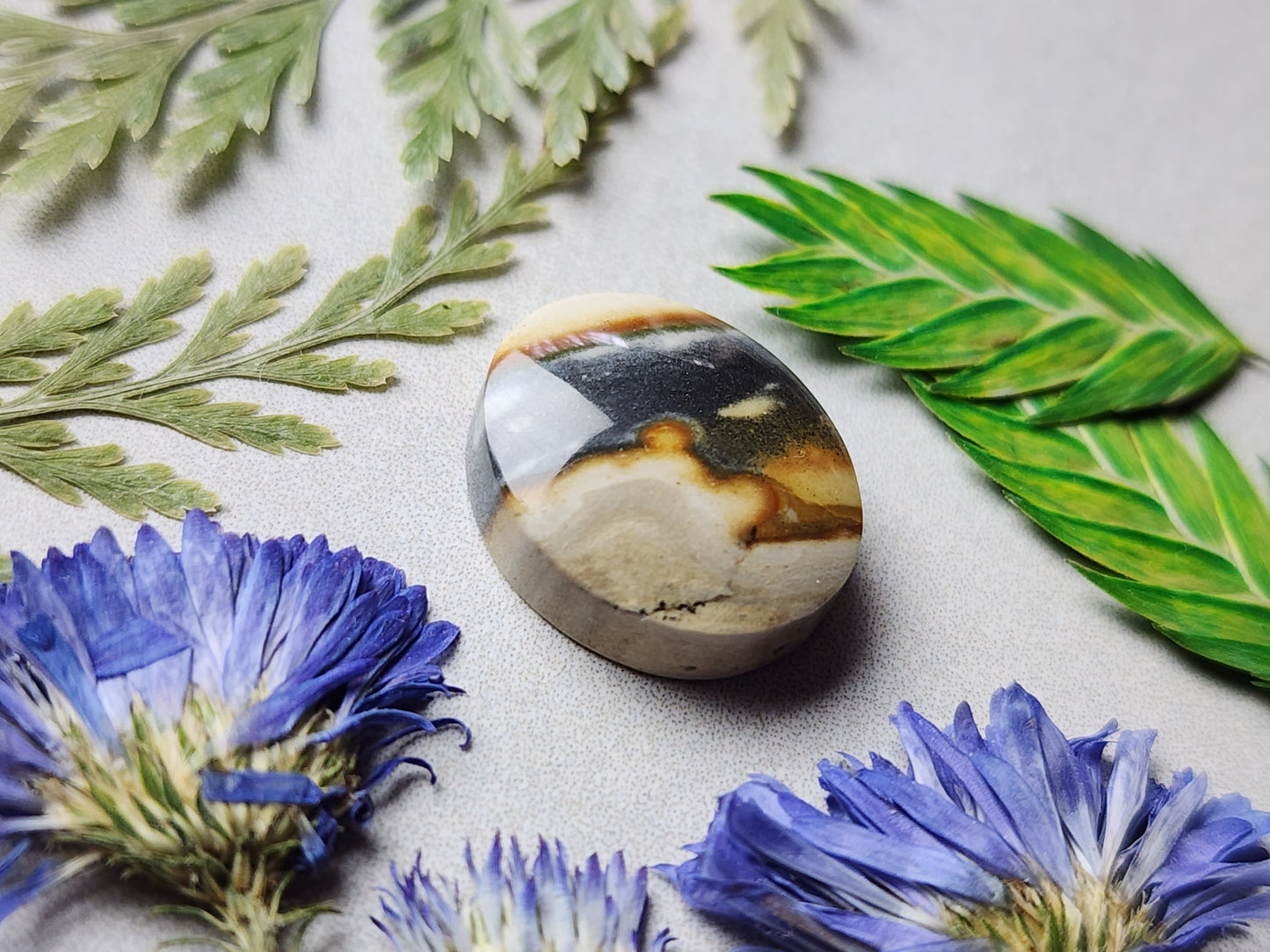 Starry night picture jasper