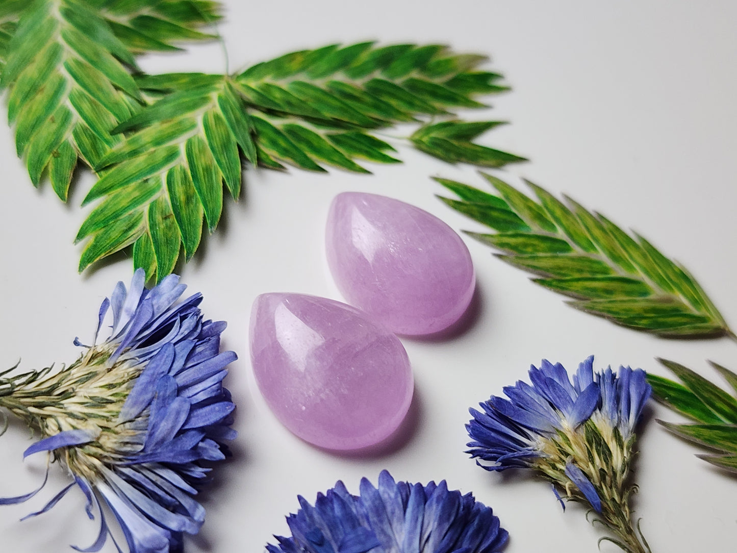 Lavender Kunzite pair