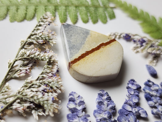 Chicken track pictue jasper