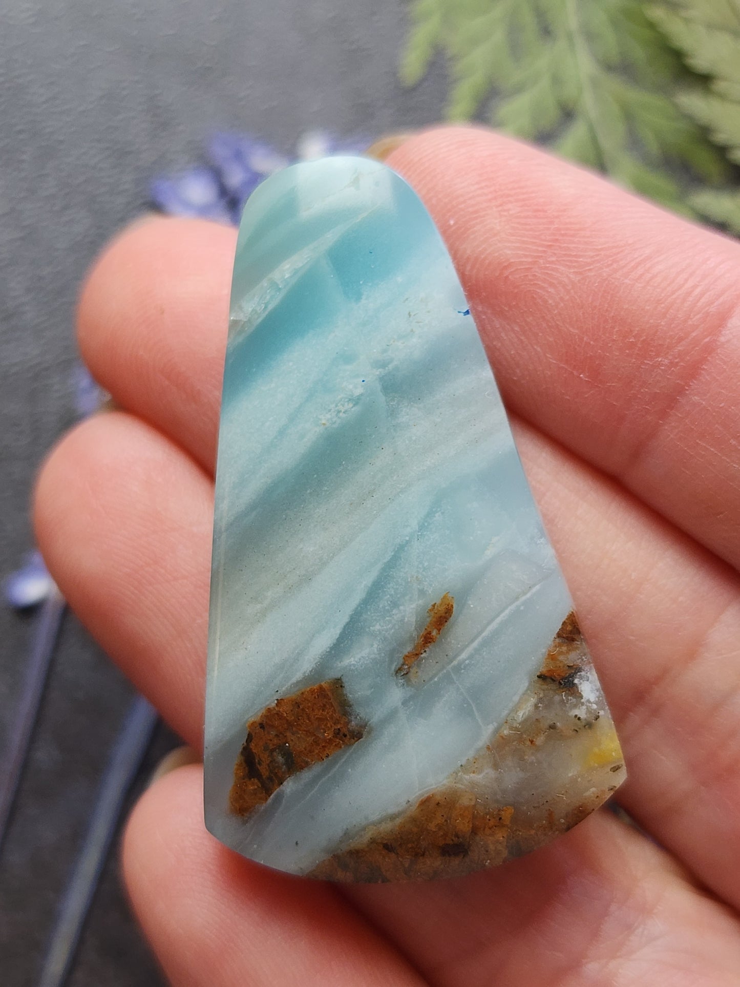 BC Ocean Picture Stone