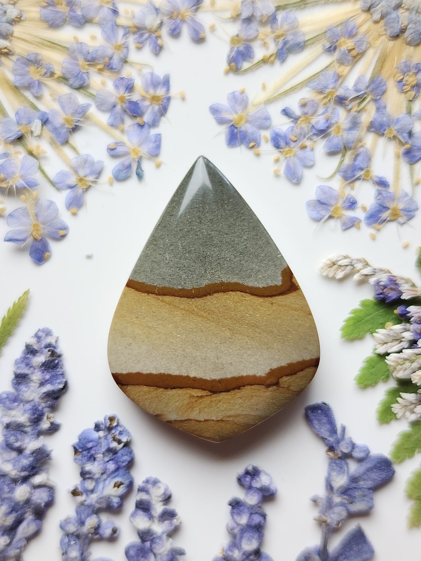 Cripple Creek picture jasper