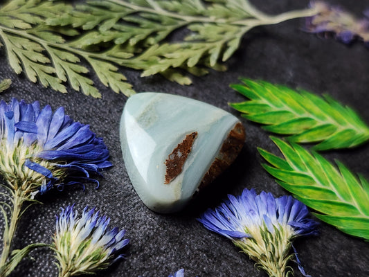 BC Ocean picture stone