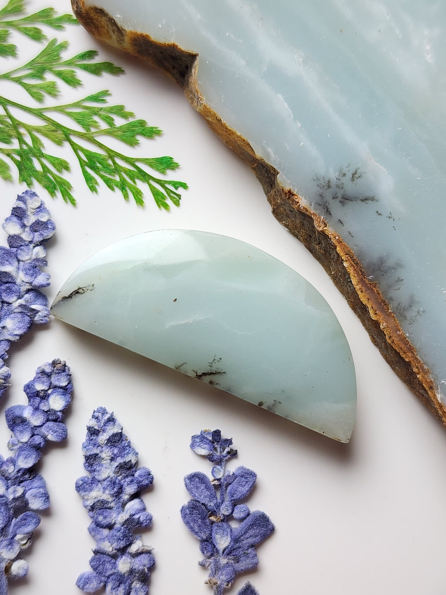 BC Ocean stone