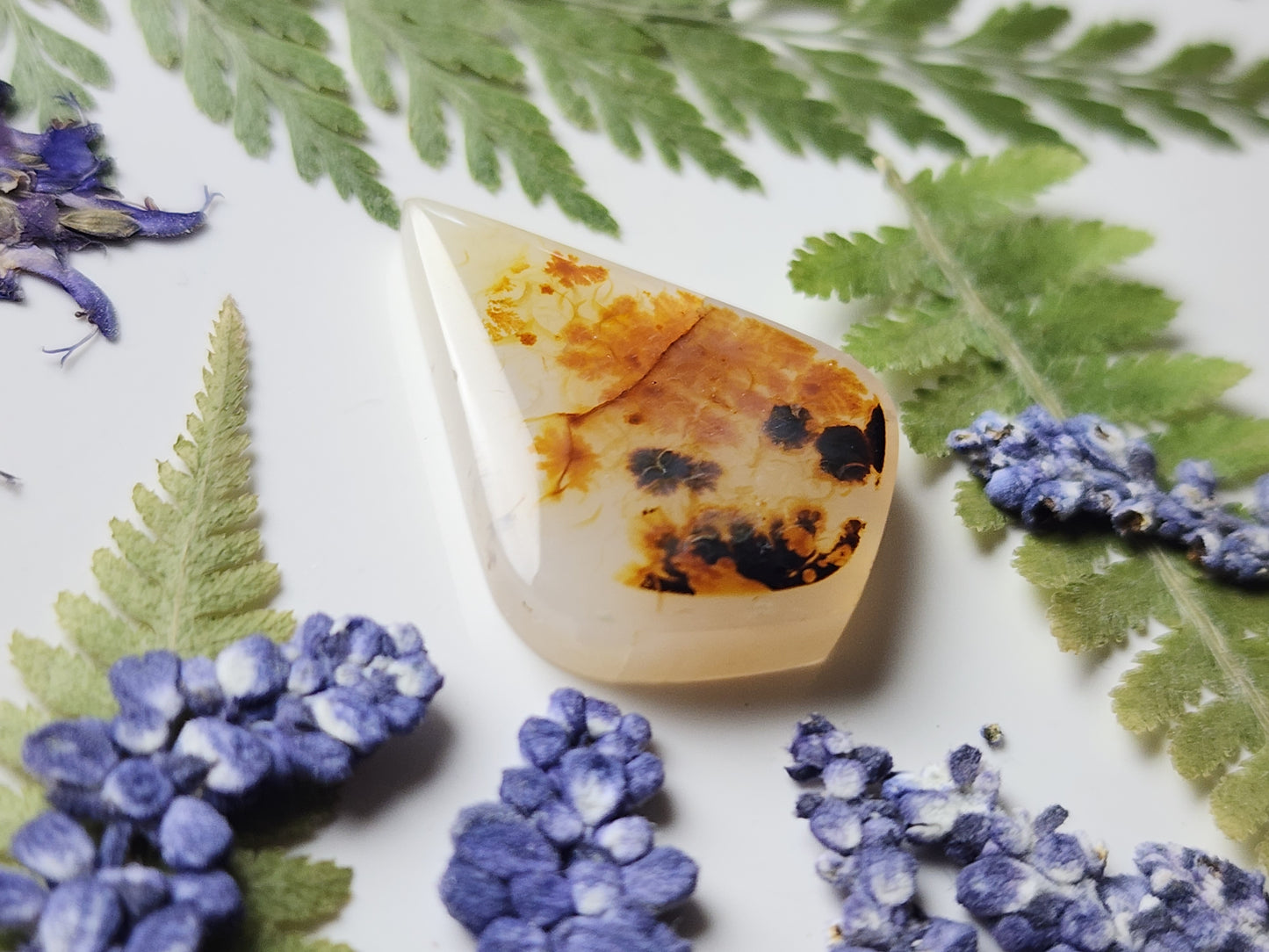Montana agate