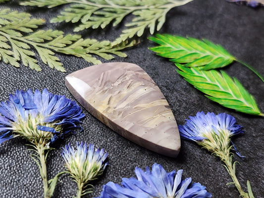 Willow creek jasper (purple pit)