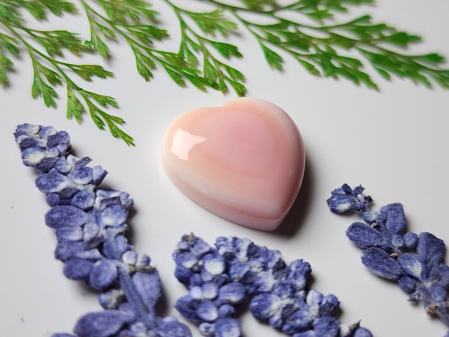 Pink Conch shell heart