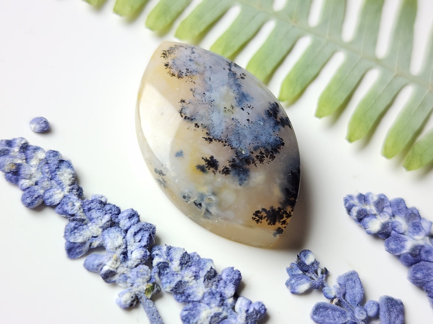 Dendritic agate