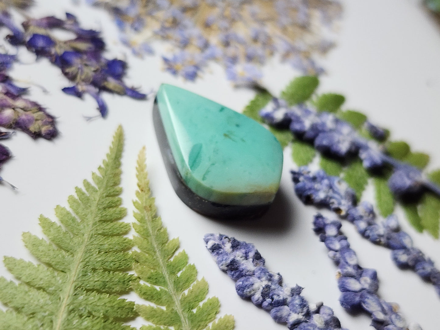 Petrified blue opalized wood