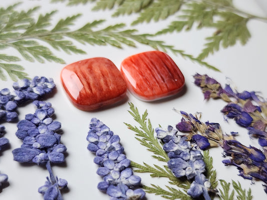 Spiny shell oyster pair