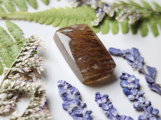 Priday Thunderegg moss agate