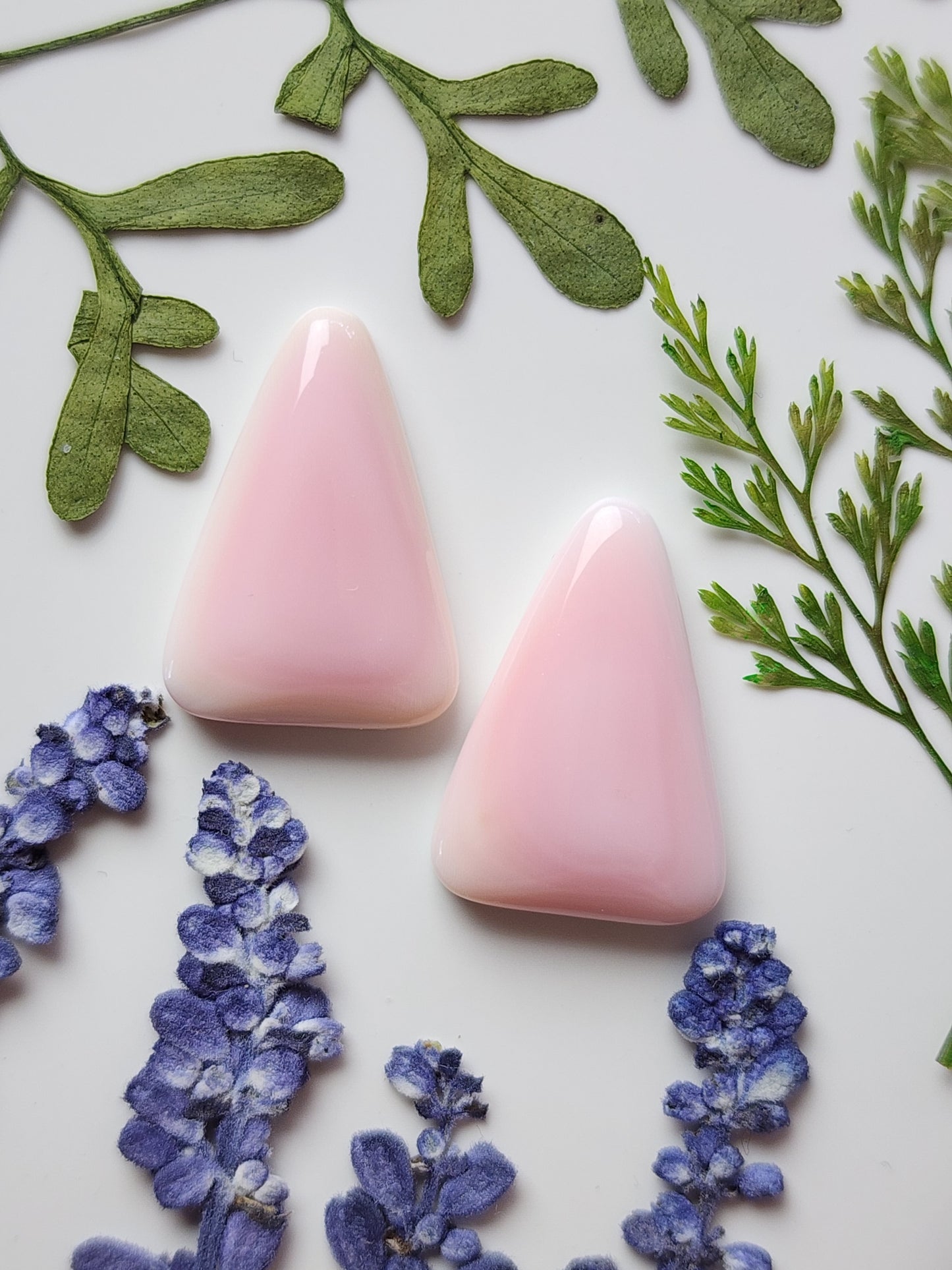 Pink Conch shell pair