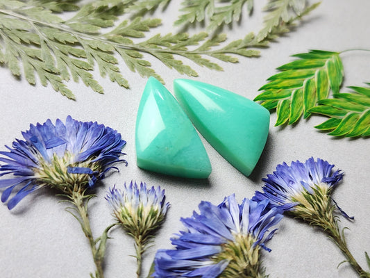 Newman Chrysoprase pair