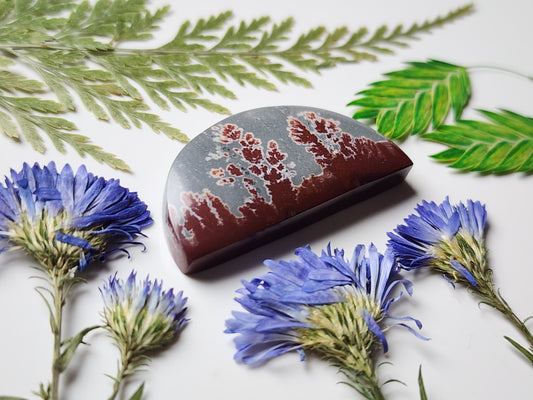 Sonoran Dendritic Rhyolite