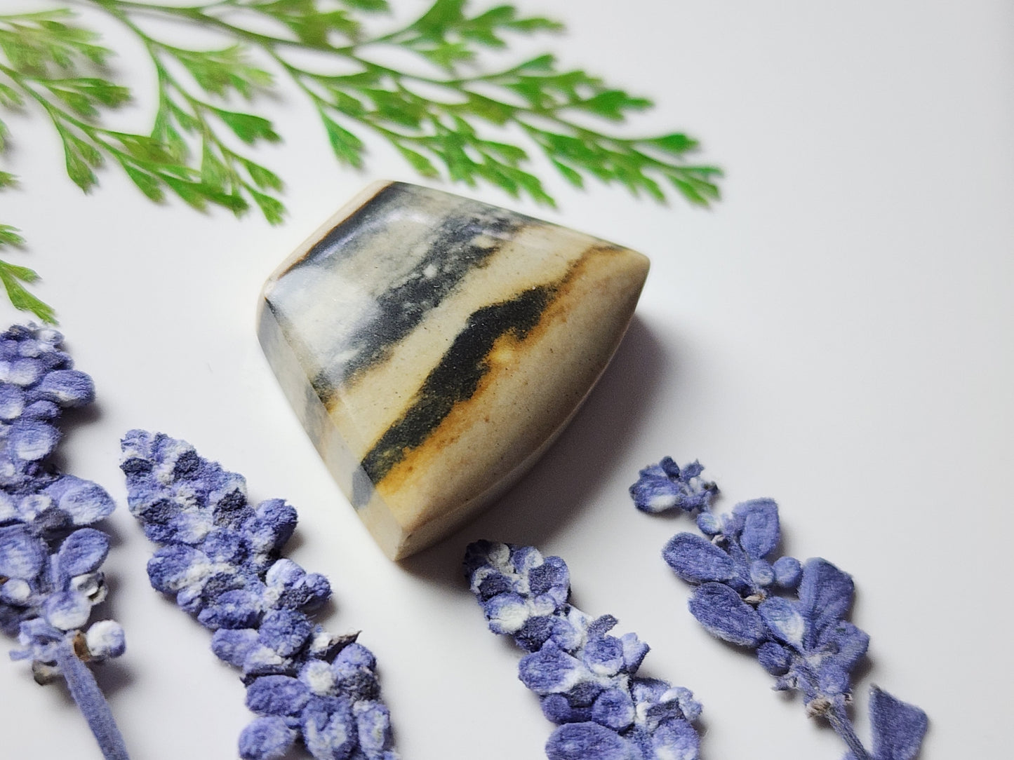 Starry night picture jasper