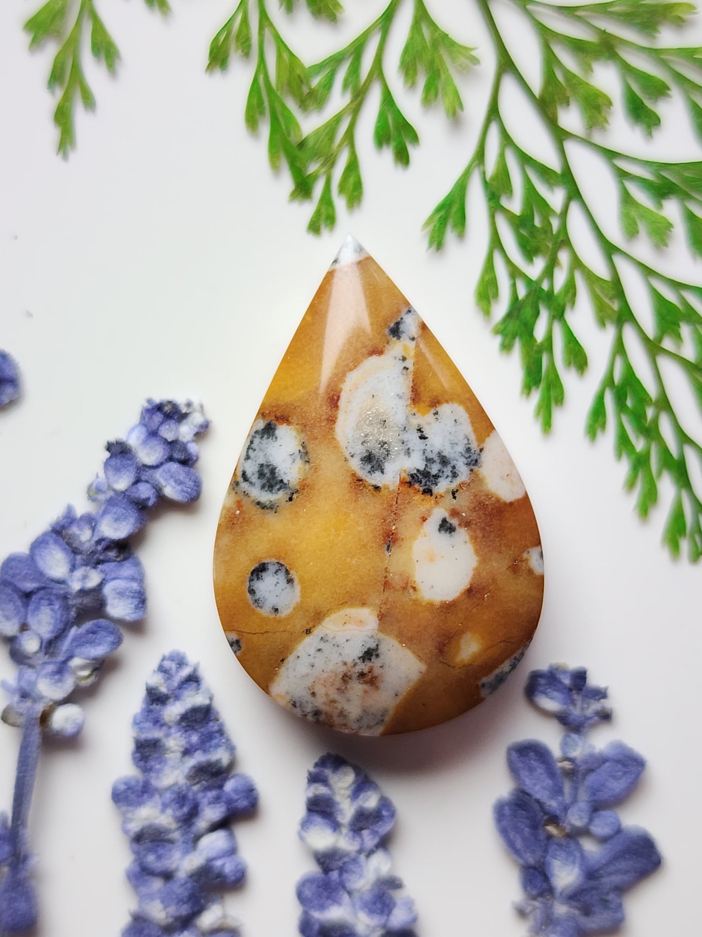 Spotted Fawn jasper