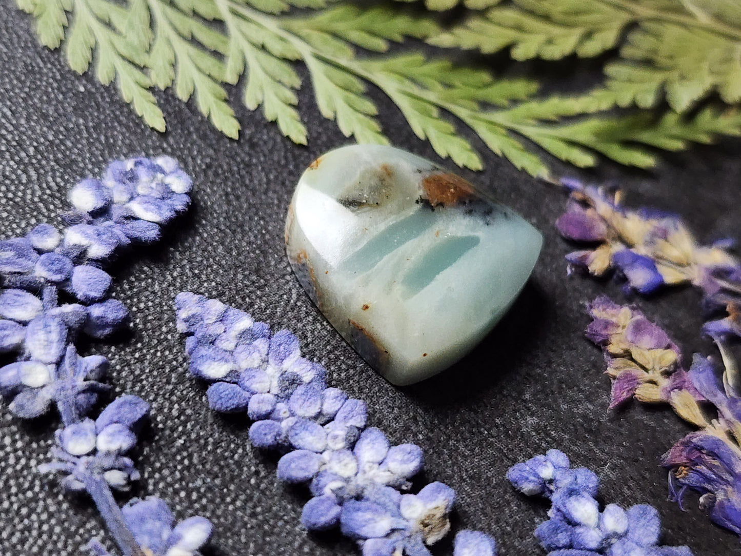 BC Ocean Picture Stone