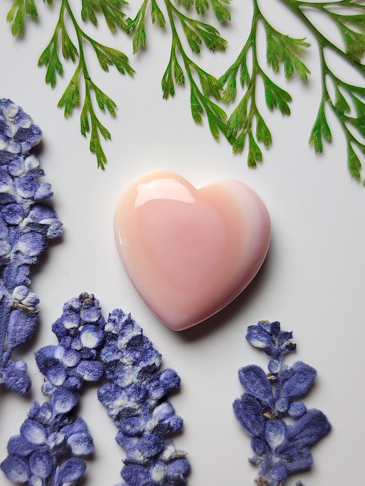 Pink Conch shell heart