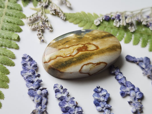 Starry night picture jasper