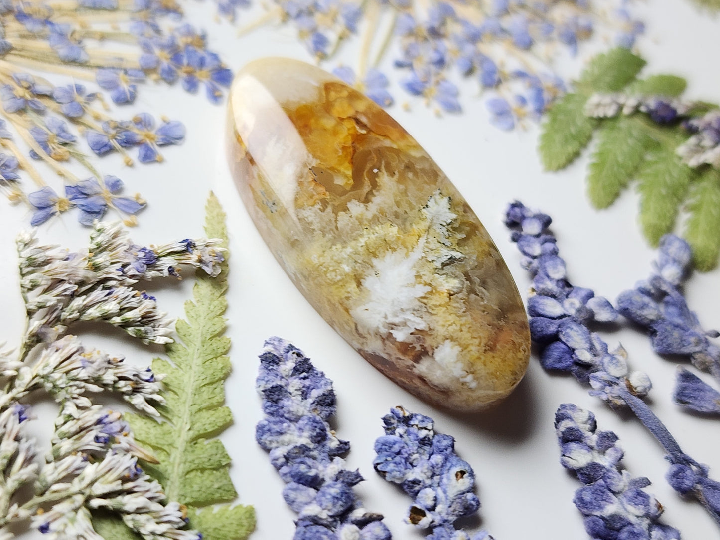 North ridge plume agate