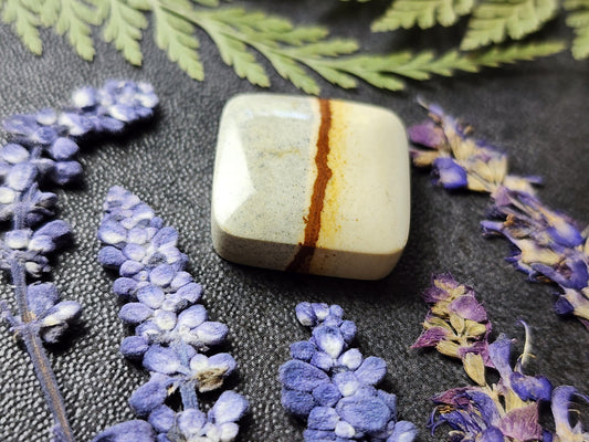 Chicken track picture jasper