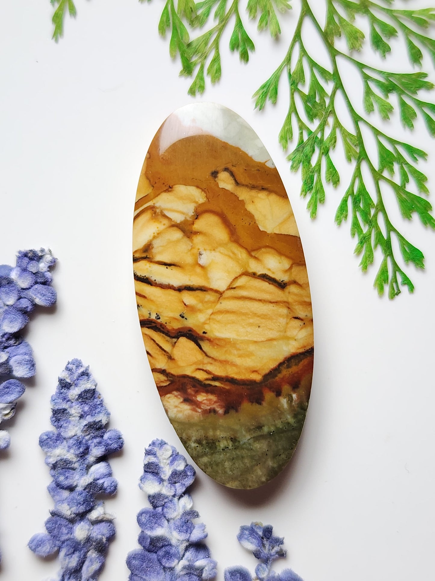 Rocky Butte picture jasper