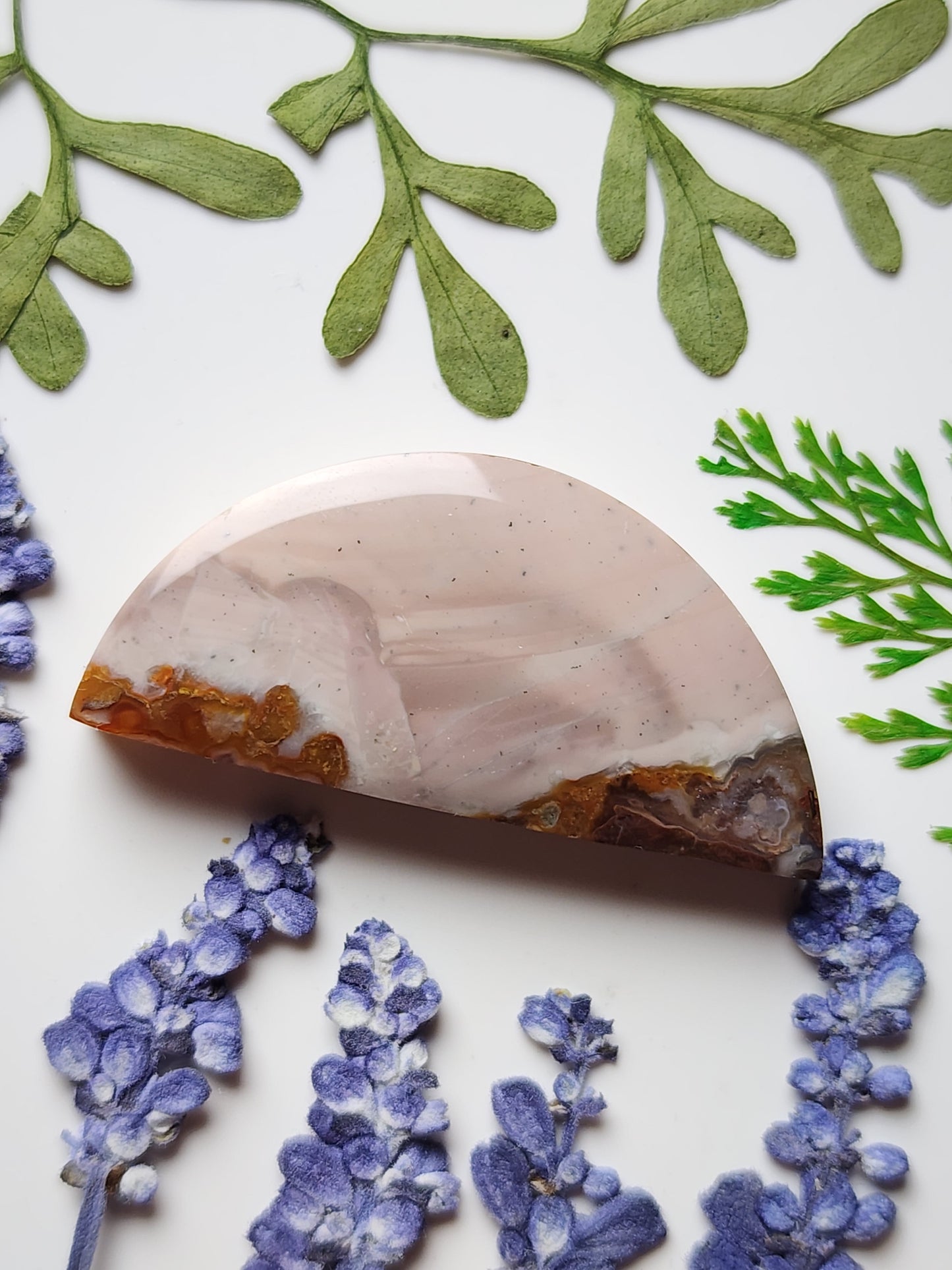 Willow creek jasper