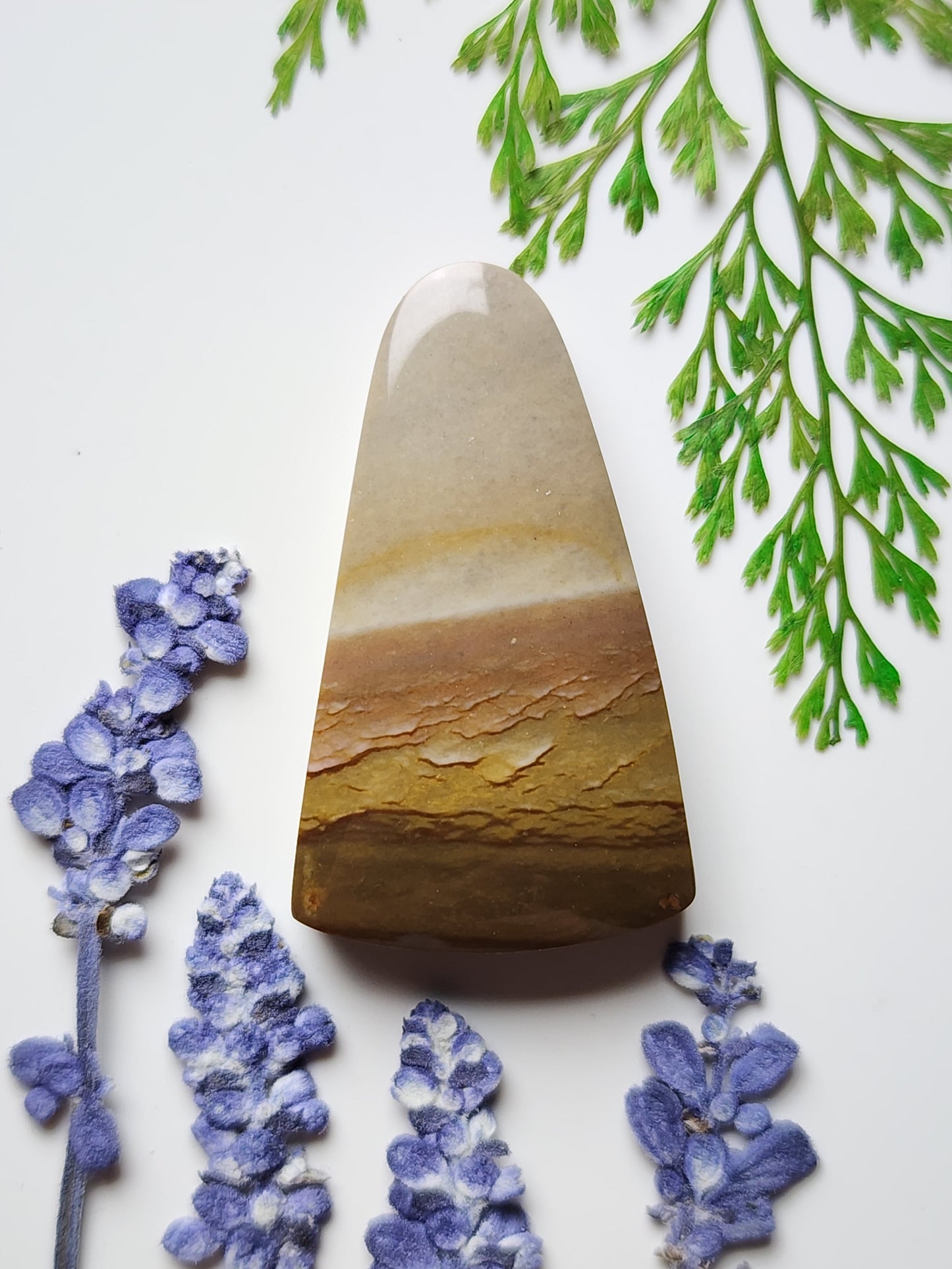 Polychorme jasper