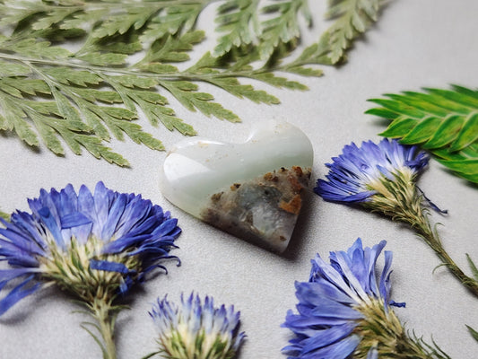 BC Ocean picture stone