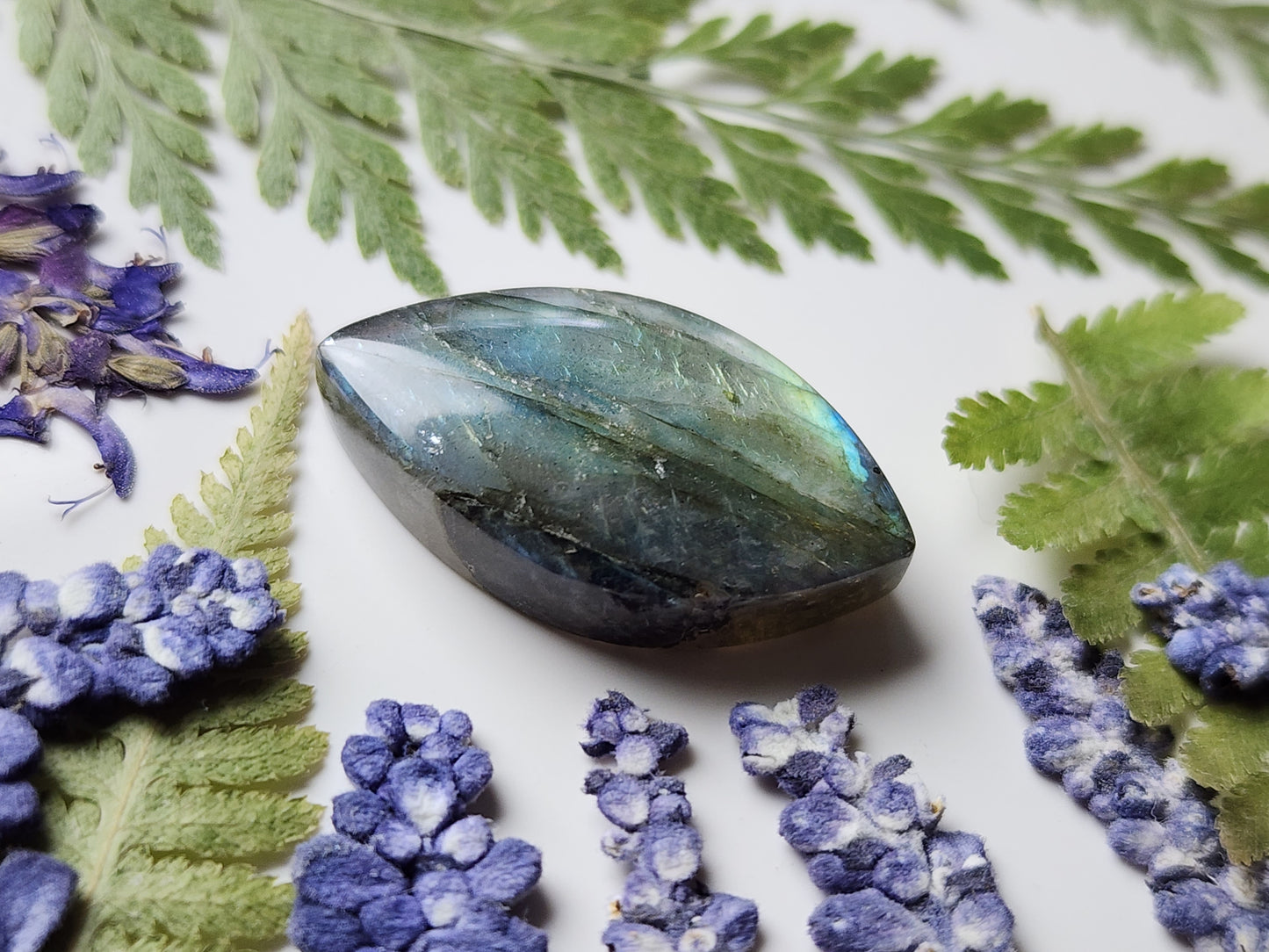 Labradorite
