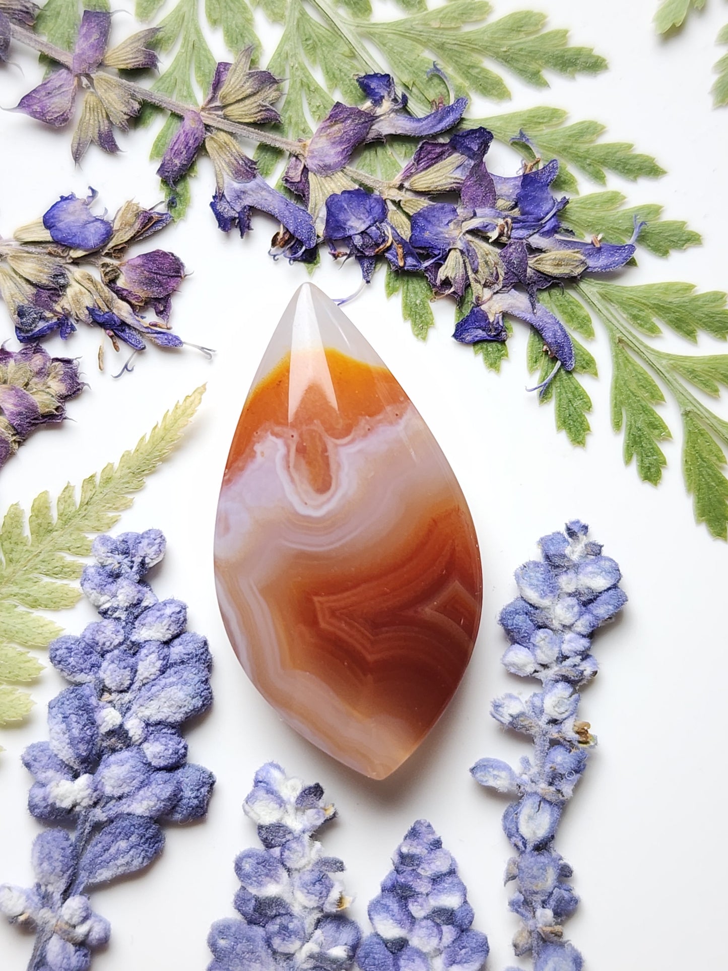Agua Nueva agate